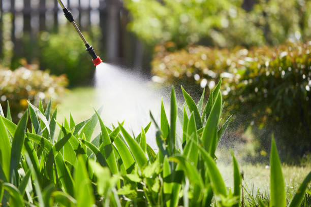 24/7 Emergency Mosquito Control experts in Gustine, CA
